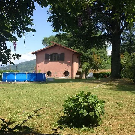 Morelli